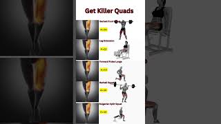 5 Best Quad Exercises Matrix [upl. by Eseryt]