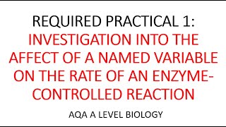 REQUIRED PRACTICAL 1 AS  AQA A LEVEL BIOLOGY [upl. by Merrick]