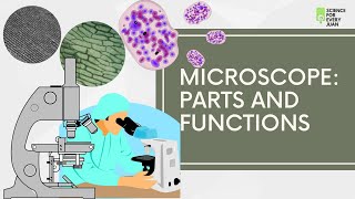 Microscope Parts and Functions  Science [upl. by Renzo65]