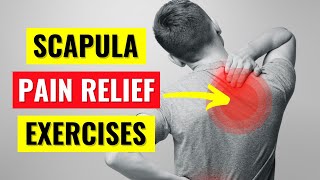 Scapula amp Rhomboid Pain Relief Exercises in 5 min [upl. by Myke]