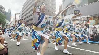 Tokyo Koenji Awaodori Festival 2024 [upl. by Xxam]