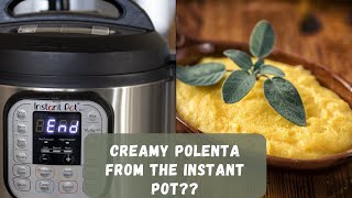 Instant Pot Creamy Polenta A HowTo Guide [upl. by Pansy589]