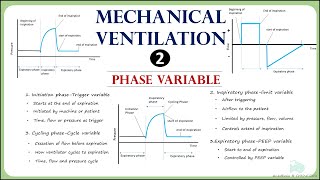 Phase Variable Trigger limitcyclingPEEP in mechanical ventilation [upl. by Ecitnerp]