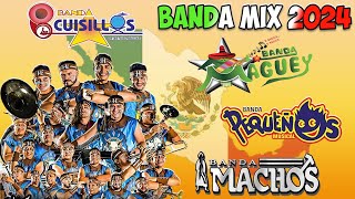 Bandas Viejitas Pero Bonitas Mix Romanticas Movidas  Cuisillos Pequeños Musical Machos Maguey [upl. by Christianson81]