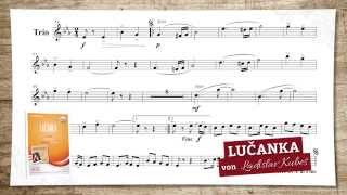 Lucanka Polka von Ladislav Kubes [upl. by Llednor]