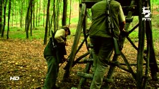 Vadászláz  Szarvasnász a festői Somogyban jagd in Ungarn Deer hunting in Hungary [upl. by Aube]