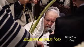 Belz Rebbe Leading The Davening  Hoshana Rabbah 5785 [upl. by Gran]