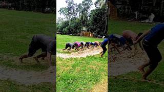 ⚽⚽🤣2024football footballplaygroundkolkata india viraltrindingvideos [upl. by Fulbert]