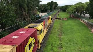 900 Subscriber Special Pinkenba freight trains 2024 [upl. by Roydd]