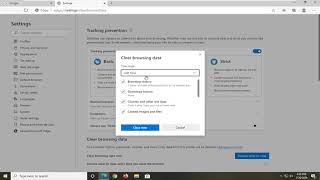 How to Clear the Cache and Cookies in Microsoft Edge Tutorial [upl. by Ferrel979]