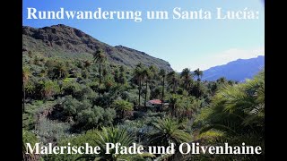 Rundwanderung um Santa Lucía de Tirajana Malerische Pfade und Olivenhaine in Gran Canaria [upl. by Lupien]