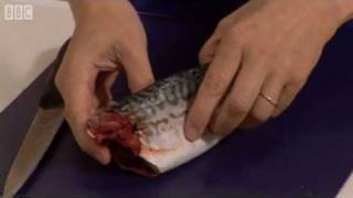 How to fillet a mackerel  BBC GoodFood com  BBC Food [upl. by Solegna]