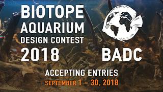 BADC 2018  contest open for entries Apply now [upl. by Dottie]