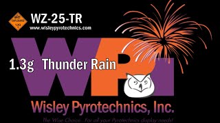 Wisley Pyrotechnics Inc 25 Shot Cake Thunder Rain Firework [upl. by Euqinobe]