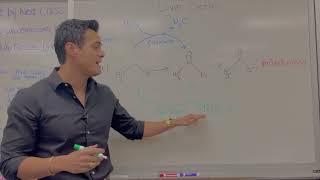 The Cytoplasm Function of Cellular Organelles [upl. by Odie522]