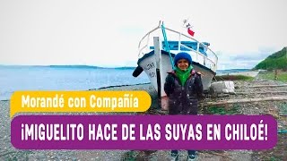 Morandé con Compañía  Miguelito hace de las suyas en Chiloé  Capítulo 63 [upl. by Ahsiruam]