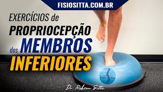 EXERCÍCIOS PROPRIOCEPTIVOS dos MEMBROS INFERIORES TREINO SENSÓRIO MOTOR  Clínica Dr Robson Sitta ® [upl. by Nottus]