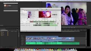 Adobe Premiere Pro PluralEyes 3 problem [upl. by Ellennahs]