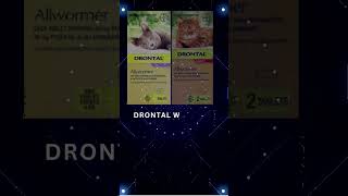 Drontal Wormer for Cats  Buy Drontal All Wormer Tablets Online  Vetsupply [upl. by Ynor997]