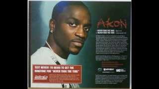 Akon Never Took The Time INSTRUMENTAL [upl. by Dominique]