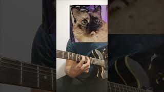 Roulette  System of a Down guitar cat soad guitarcover 2000s 00s guitarplayer [upl. by Marchelle14]