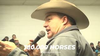 2022 Billings Horse Sale [upl. by Ahsirk]