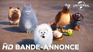 Comme Des Bêtes BandeAnnonce 2 Universal Pictures [upl. by Enitsirt]