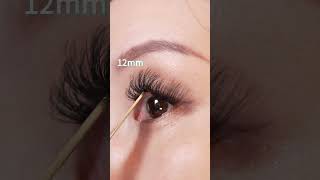 Natural Look Eyelash Extensions Kit 1 Box 60D 80D 1018mm Individual False Eyelashes [upl. by Auhsaj621]