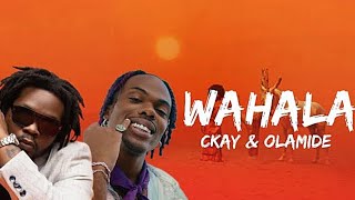 Ckay ft Olamide  Wahala REACTION [upl. by Malynda971]