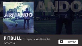 Pitbull  Amorosa ft MC Marcinho amp Papayo Official Audio [upl. by Darraj]