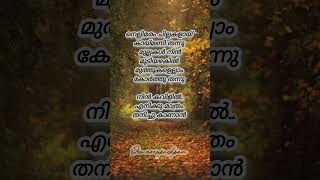 നെല്ലിമരം ചിലകളായ്✨🤍mukilemukilekeerthichakramohanlaltrendingsonglyrics [upl. by Hael875]