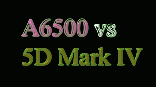 Sony A6500 vs Canon 5D Mark IV [upl. by Harvison]