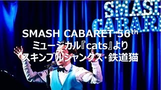 『キャッツ』より「スキンブルシャンクス・鉄道猫」 [upl. by Ahseinek]