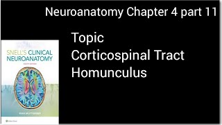 Neuronantomy Chapter 4Corticospinal TractMotor Homunculus Neuroanotomy make easyneurologybdaN [upl. by Dovev461]