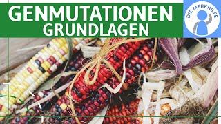 Genmutationen Grundlagen  Definition Genmutationsarten amp Genmutationstypen einfach erklärt [upl. by Oriel]