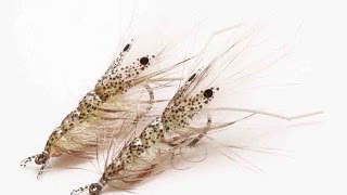 Fly tying quotPro Dotted Shrimpquot Saltwater shrimp Stepbystep tutorial [upl. by Ailisec]