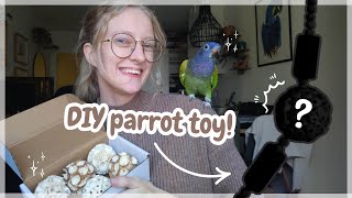 DIY Bird toys material haul and toy making  Cheap asthetic toys [upl. by Aihsenak928]