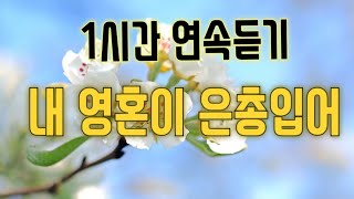 1시간 연속듣기 내 영혼이 은총입어 [upl. by Nuahsal860]