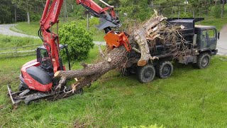 BioJack GrappleShear cleaning up trees on Kubota 080 excavator construction [upl. by Roberto]