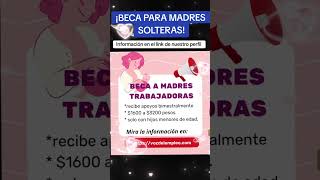 Convocatoria abierta de apoyo a madres solteras de bienestar [upl. by Oos]