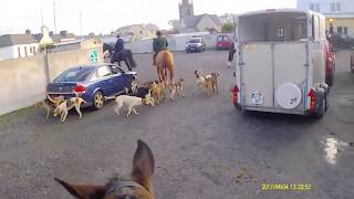 Sligo Harriers hunt in Easkey 2018 [upl. by Yerffoeg658]