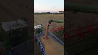 Symonds FarmGeo E Gittus amp Sons Ltd in Suffolk in the UK with harvest2024 well underway [upl. by Suhail]