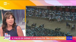 Il Palio di Siena tra storia e tradizione  UnoMattina Estate 29062023 [upl. by Angle306]