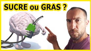 La MEILLEURE Alimentation pour le CERVEAU [upl. by Dorette]