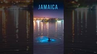 Jamaica Glowing Water Experience  Luminous Lagoon Glistening Waters [upl. by Udall229]