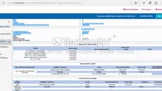 Como imprimir la Ficha RUC  Sunat [upl. by Atirhs]