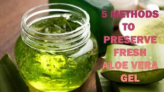 Preserve Aloe Vera Gel At Home [upl. by Carmela]