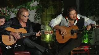 Gypsy Joe Vlado and Alex Fox  Guitar Concert  Downhouse Live Jem Session Improvisation  EXCLUSIVE [upl. by Ymarej980]