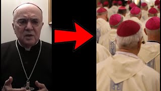 ABP VIGANÒ kontra EPISKOPAT POLSKI [upl. by Notyrb316]