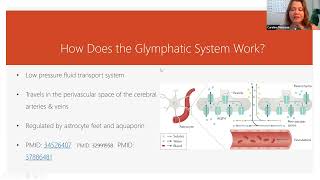 How Does the Glymphatic System Work Shorts [upl. by Niwled]